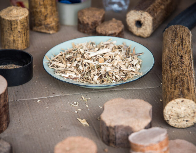 wood shavings on a plate surrounded by small logs